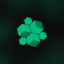 Hive Protocol