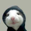 hood rat (HOODRAT) Live Price, Chart and Marketcap