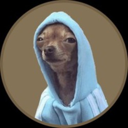 HOODOG Live Price, Chart and Marketcap