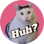 Huh cat