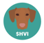 Hungarian Vizsla Inu