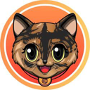 Indi Live Price, Chart and Marketcap