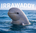 Irrawaddy dolphin Live Price, Chart and Marketcap