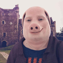 John Pork Live Price, Chart and Marketcap