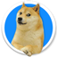 Kabosu Inu