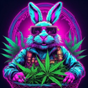 Keefer Bunny (KFR) Live Price, Chart and Marketcap