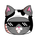KitCoin (KITTY) Live Price, Chart and Marketcap