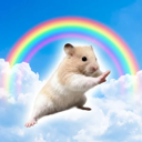 Kung Fu Hamster (KFH) Live Price, Chart and Marketcap