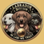 Buy LabradorBitcoin