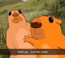 Let Him Cook ($COOK) Live Price, Chart and Marketcap