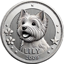 Lily's Coin