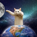 Longcat (SHIRO) Live Price, Chart and Marketcap