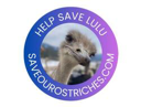 Lulu the Ostrich Live Price, Chart and Marketcap