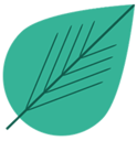 Lyptus Live Price, Chart and Marketcap