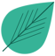 Lyptus