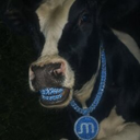 Memory cow Moo Live Price, Chart and Marketcap