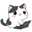MeowSpace