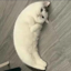Mooncat