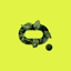 Buy Moss Carbon Credit
