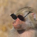 MOST ELEGANT MONKEY EVER (MEME) Live Price, Chart and Marketcap