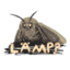 Moth
