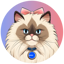 Mrs Miggles