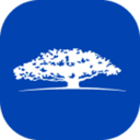 Nest WisdomTree Vault (NWISDOM) Live Price, Chart and Marketcap