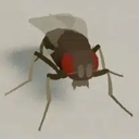 NeuroMechFly (NMF) Live Price, Chart and Marketcap