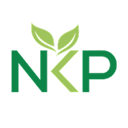 NonKyotoProtocol (NKP) Live Price, Chart and Marketcap
