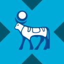 Novo Nordisk xStock (NVOX) Live Price, Chart and Marketcap
