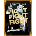 OFFICIAL BABY TRUMP (BTRUMP) Live Price, Chart and Marketcap