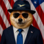 Buy Official DogeWLFI Coin