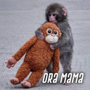 ORA MAMA (ORAMAMA) Live Price, Chart and Marketcap