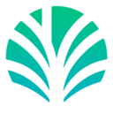 Palm Economy Live Price, Chart and Marketcap