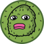 Buy Pickle