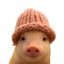 pig wif hat