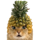 Pineapple Cat (PICA) Live Price, Chart and Marketcap