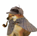 pipedog Live Price, Chart and Marketcap