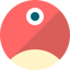 pNetwork