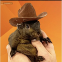 Pnut the Squirrel Live Price, Chart and Marketcap
