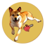 Pochita on Ethereum