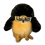 Buy pomkori