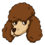Poodl Inu