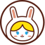 Rabbit Finance