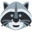 Raccoon Coin