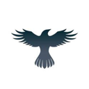 Raven Protocol Live Price, Chart and Marketcap