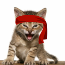 Red Kitten Crew (RKC) Live Price, Chart and Marketcap