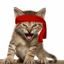 Red Kitten Crew