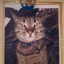 Remember KitKat