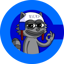 Ricky The Raccoon